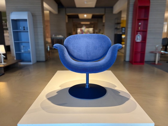 Artifort Tulip Midi – Fauteuils (photo 2 of 3)