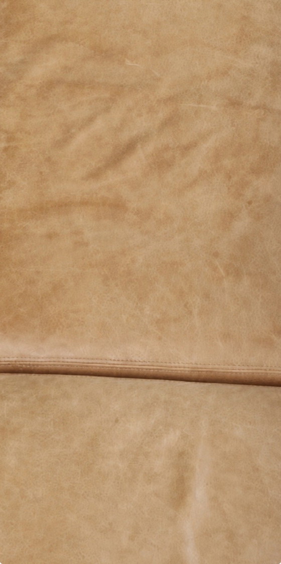 Durlet Newport — Alain Monnens — Leren 3-Zitsbank – 3-5 zitsbanken, Leather, Metal (photo 9 of 9)