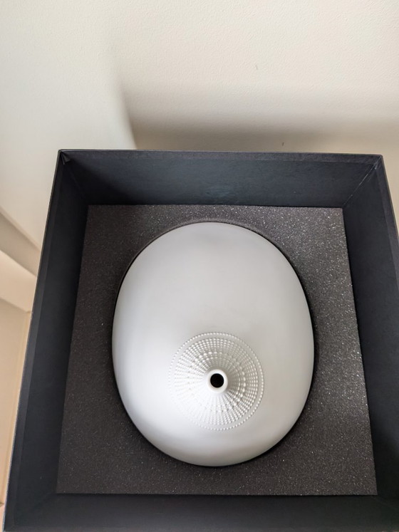 Rosenthal Pollo XL 20cm – Limited Edition 2012 – Tapio Wirkkala (With Original Box) – Vases, Porcelain (photo 6 of 9)