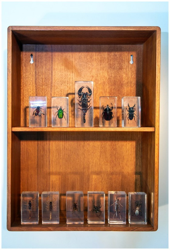 Image 1 of Scandinavische plank van massief teakhout uit de jaren 60.