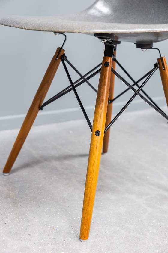 Image 1 of Sedie Eames DSW Elephant in fibra di vetro grigia, 6x