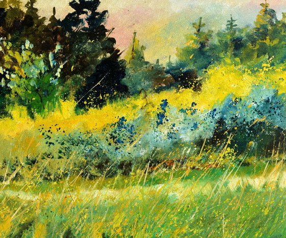 Image 1 of Sommerwiese