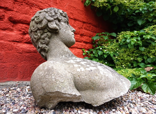 Verweerd tuinbeeld: Betonnen buste van David