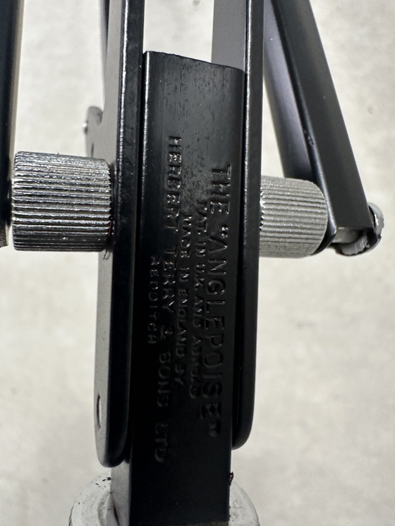 Image 1 of Original Anglepoise Herbert Terry 1209 - lámpara de pie - años 40