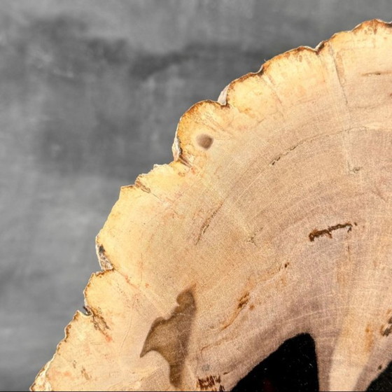 Image 1 of Magnifique pièce de bois pétrifié sur un support sur mesure BS-9
