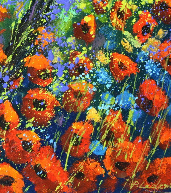 Image 1 of Red Poppies