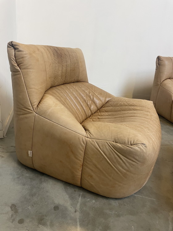 Image 1 of Ligne Roset Model Aralia For Michel Ducaroy sofa