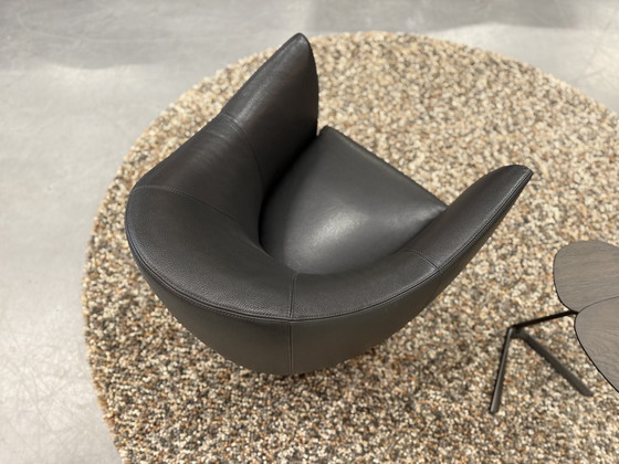 Image 1 of Leolux Shaman Sessel schwarzes Leder