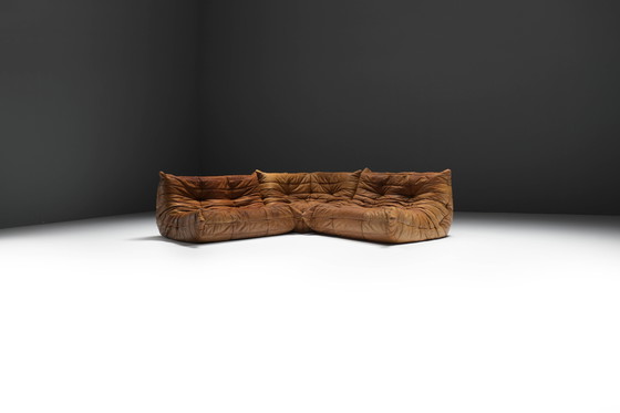 Image 1 of Perfect Rich Patinated Togo in Original Natural Leather by Michel Ducaroy - Ligne Roset