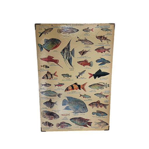 Englische Vintage-Schallplatte mit tropischen Aquarienfischen aus dem Jahr 1977