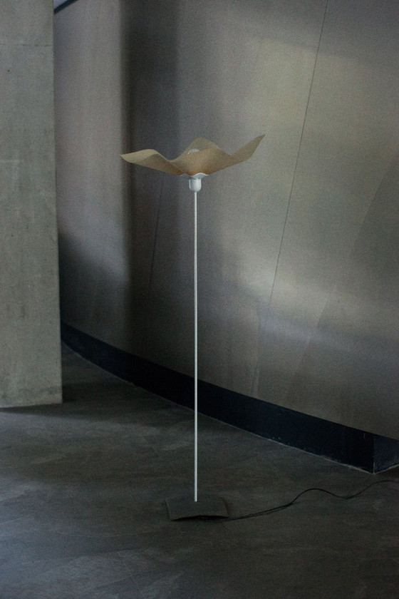 Image 1 of Area 160 floor lamp by Mario Bellini for Artemide, 1974