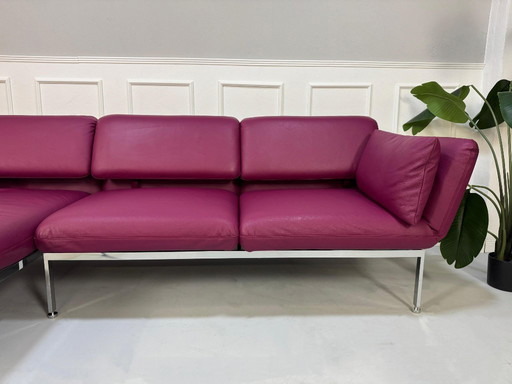 Brühl Roro Medium Sofa Leder Purpur Lila Violett Schlafsofa Ecksofa