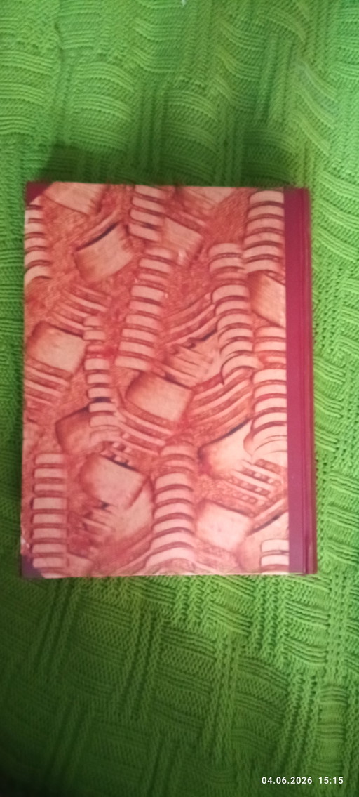 Livre de première année d'école du plus jeune enfant d'Else Ury, style vintage rétro antique