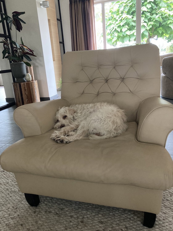 Image 1 of Sillón de cuero Primacasa Italia