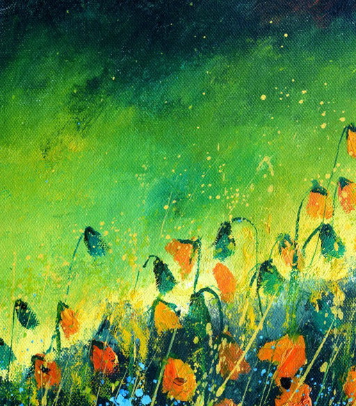 Poppies