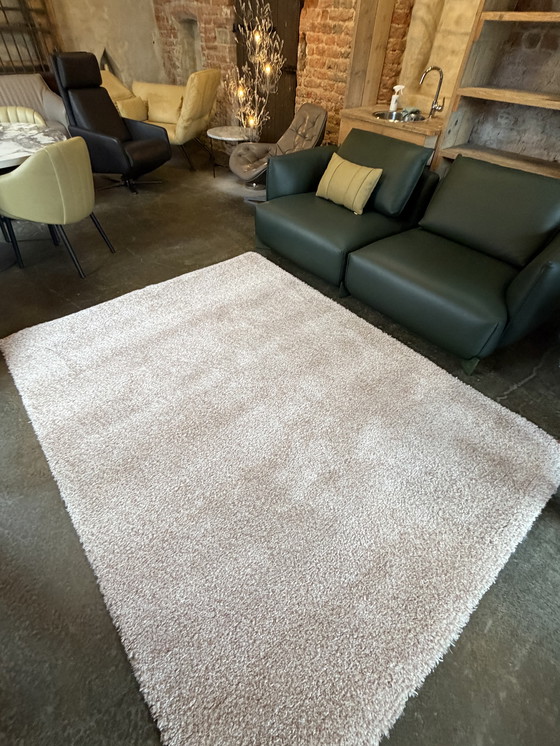 Image 1 of Alfombra Brink y Campman Sprout