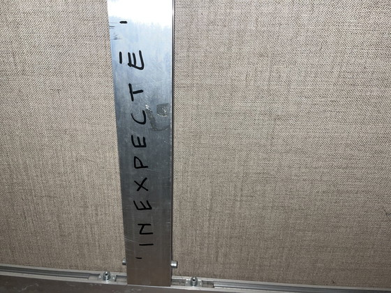 Image 1 of Luc Verschuuren Inexpecté 240cm hoog