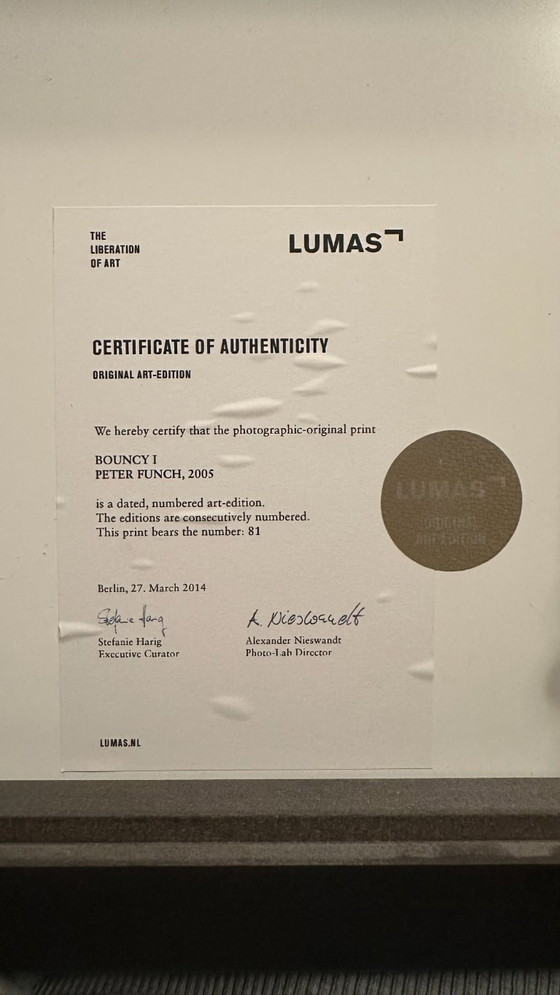 Image 1 of Lumas - Bouncy 1 di Peter Funch 2005