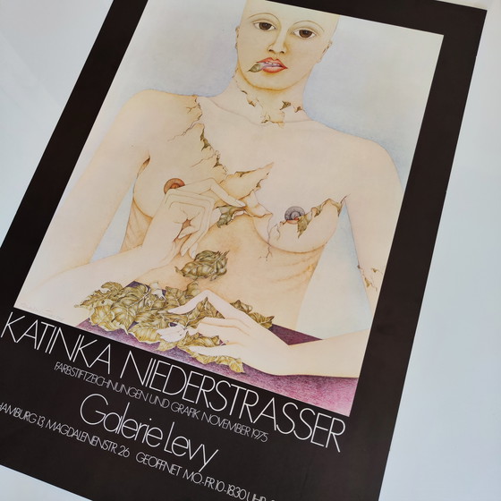 Image 1 of Katinka Niederstrasser / Galerie Levy / Affiche