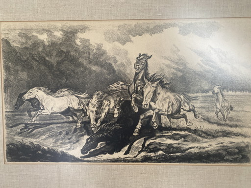 Disegno con i cavalli di John Paymans