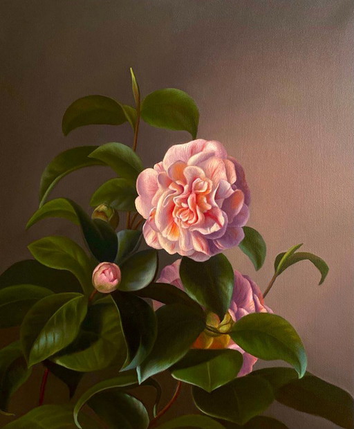 Original Oil Painting Camellia Flower – schilderijen tekeningen, Canvas