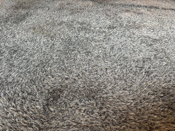 Image 1 of Teppichschild Sauvage - 255 x 210