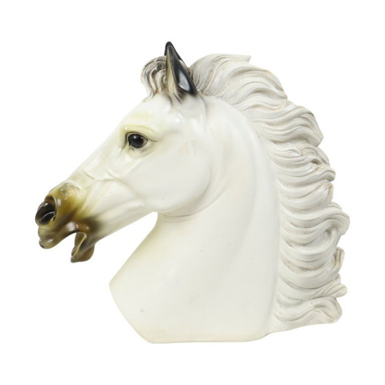 Image 1 of Large Classical Bust Parthenon Horse