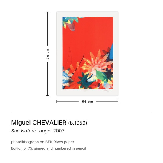 Image 1 of Miguel CHEVALIER Sur-Nature Rouge Signierte Fotolithographie 2007