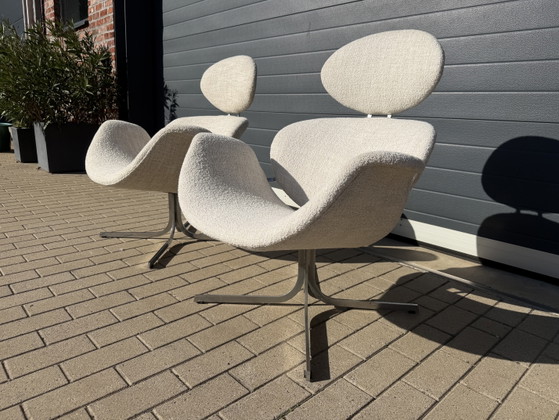 2x 1. Edition Artifort Big Tulip Neuwertig! Pierre Paulin in Beige/Ecru Bouclé – Sessel, Textile (photo 4 of 12)
