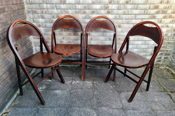 Image 1 of Sedie pieghevoli in legno n. B 751, Thonet Cosmos stampa coccodrillo