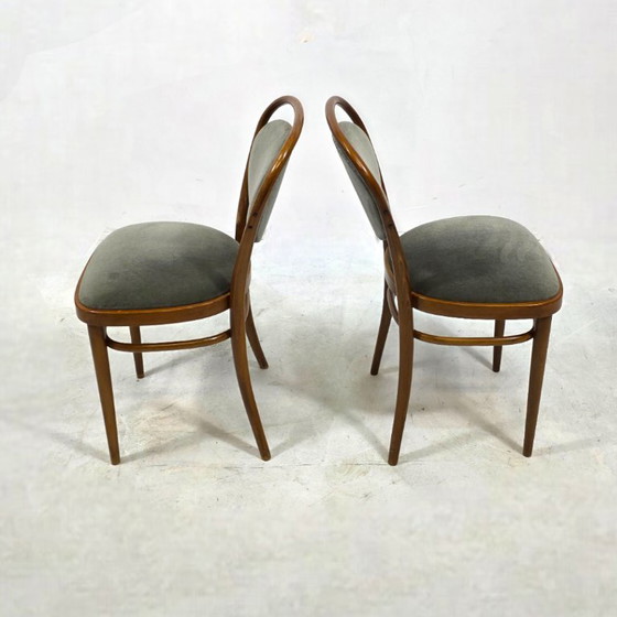 Image 1 of Thonet Dining Room Set 1970s. Extendable table & 6 chairs