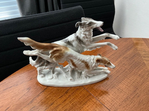 Borsoi honden in kleur