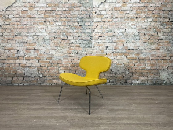 Image 1 of Artifort Libellula gialla