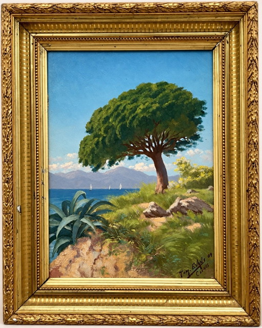 Antique Oil Painting Cannes La Bocca 1909 – Tom Evans