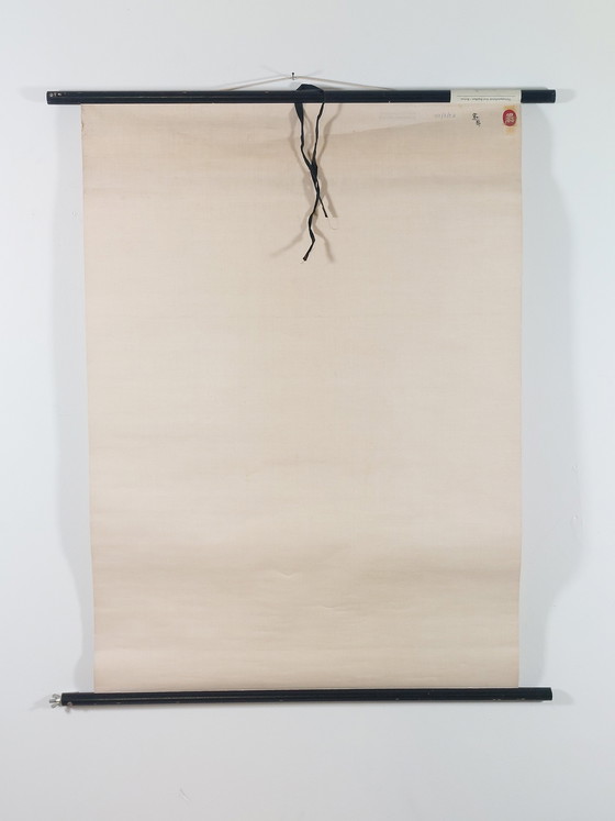 Image 1 of Vintage teaching aid roll-up chart oral cavity medicine wall chart