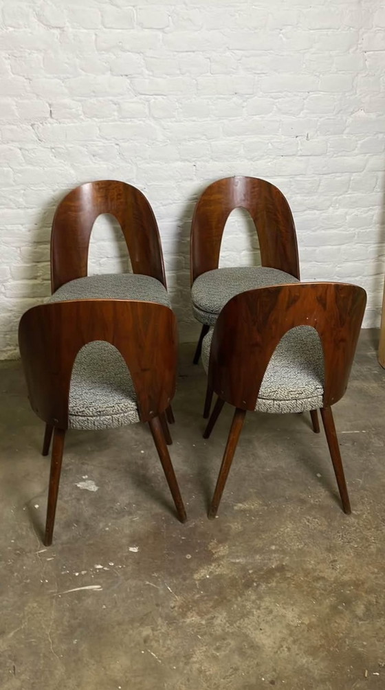 Image 1 of Ensemble de 4 Chaises d’Antonin Suman 1960s