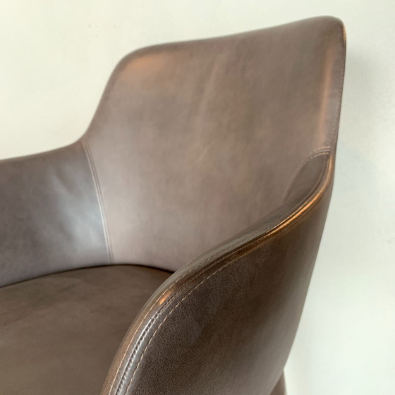 Image 1 of Sedia da pranzo Chelsea Molteni&C (set di 4)