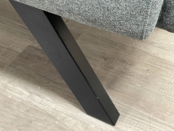 Image 1 of Anche la banca dello Zoo