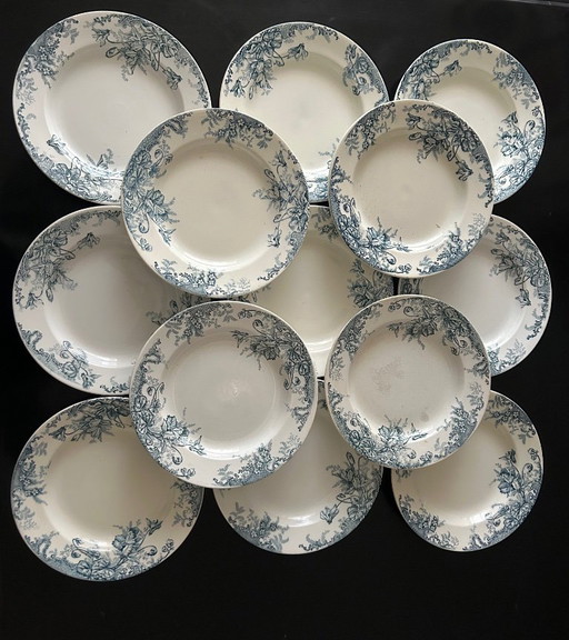 13 assiettes creuses Terre de Fer Cyclamens Louis Graves