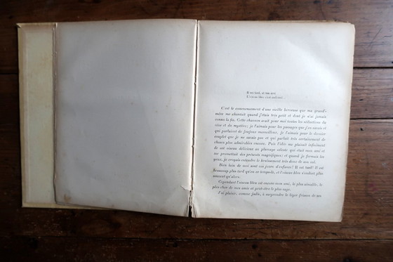 Image 1 of Livre illustré français ancien "Mon Ami L'Oiseau Bleu" de Guy Chantepleure, c.1900 – Art Nouveau – 2C43
