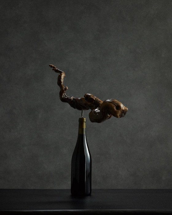 Image 1 of large corkscrew in vine root