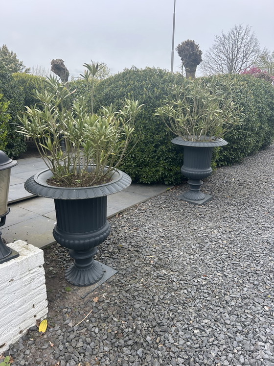 Image 1 of vasi da fiori in ghisa