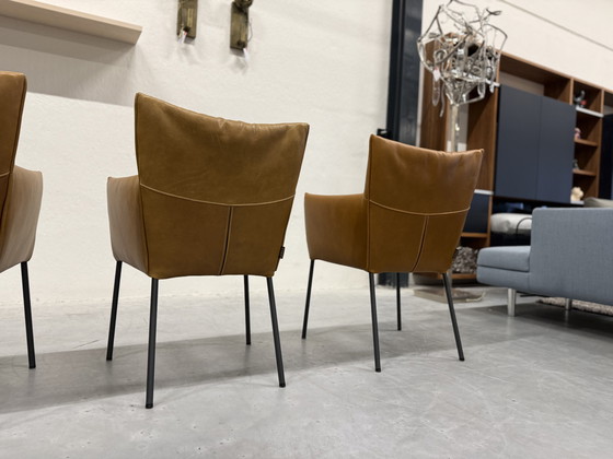 Image 1 of Sedia da pranzo Mali Vandenberg 5 Label Bovino Natural