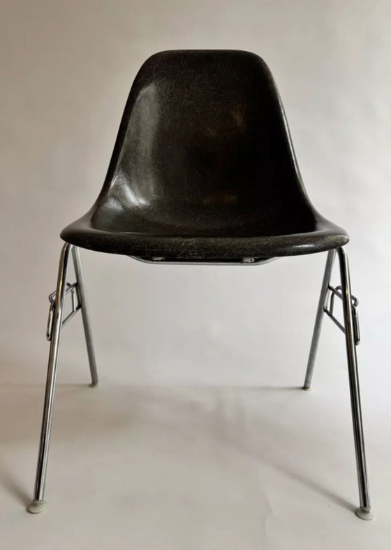 Image 1 of Ensemble de 4 chaises DSS Charles et Rey Eames pour Herman Miller 1950