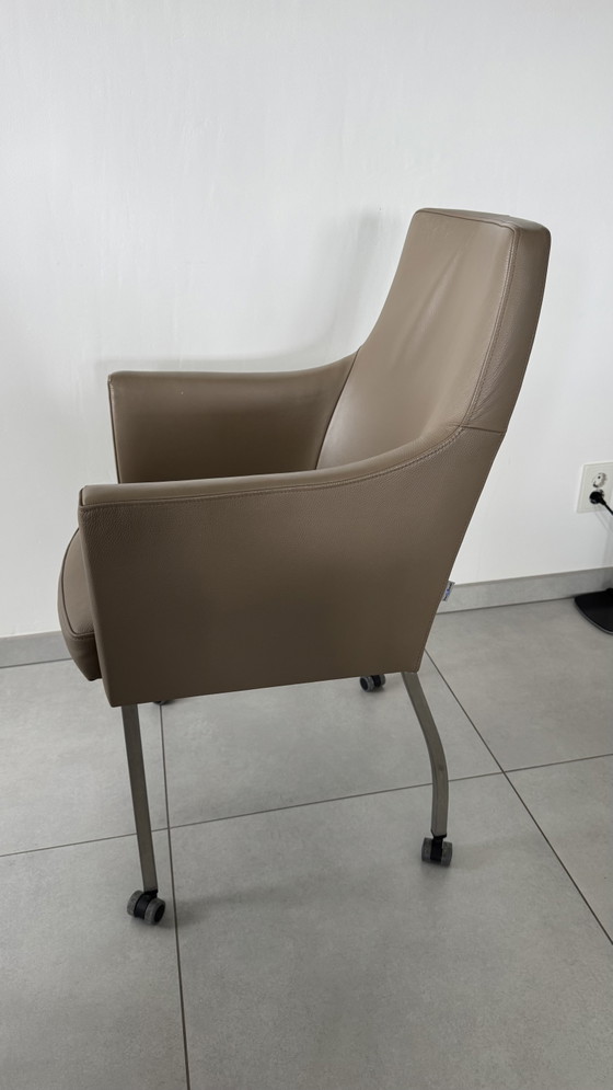 6 Sedie da pranzo di Brees New World – Bree's New World, Leather (photo 6 of 8)