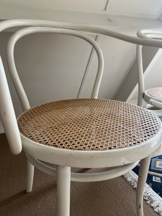 Image 1 of 2 Witte Stoelen Thonet 209 van Ligna