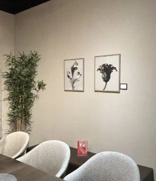 Boconcept - Form in Nature Gallery | €69 | Whoppah