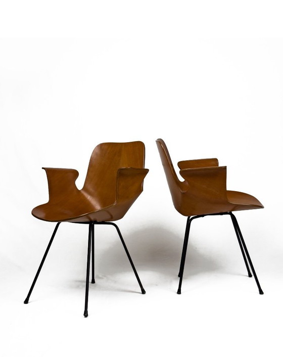 Image 1 of 2 sedie Medea vintage in legno curvato di Vittorio Nobili, Italia anni '50