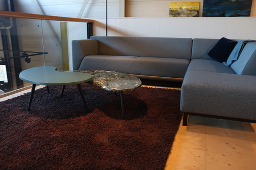 Tapis CS Rugs Forêt - 200x300