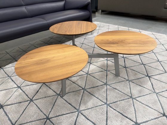 Leolux Ninfea Coffee table walnut houf, Wood, Multi Color (photo 2 of 14)